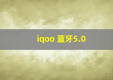 iqoo 蓝牙5.0